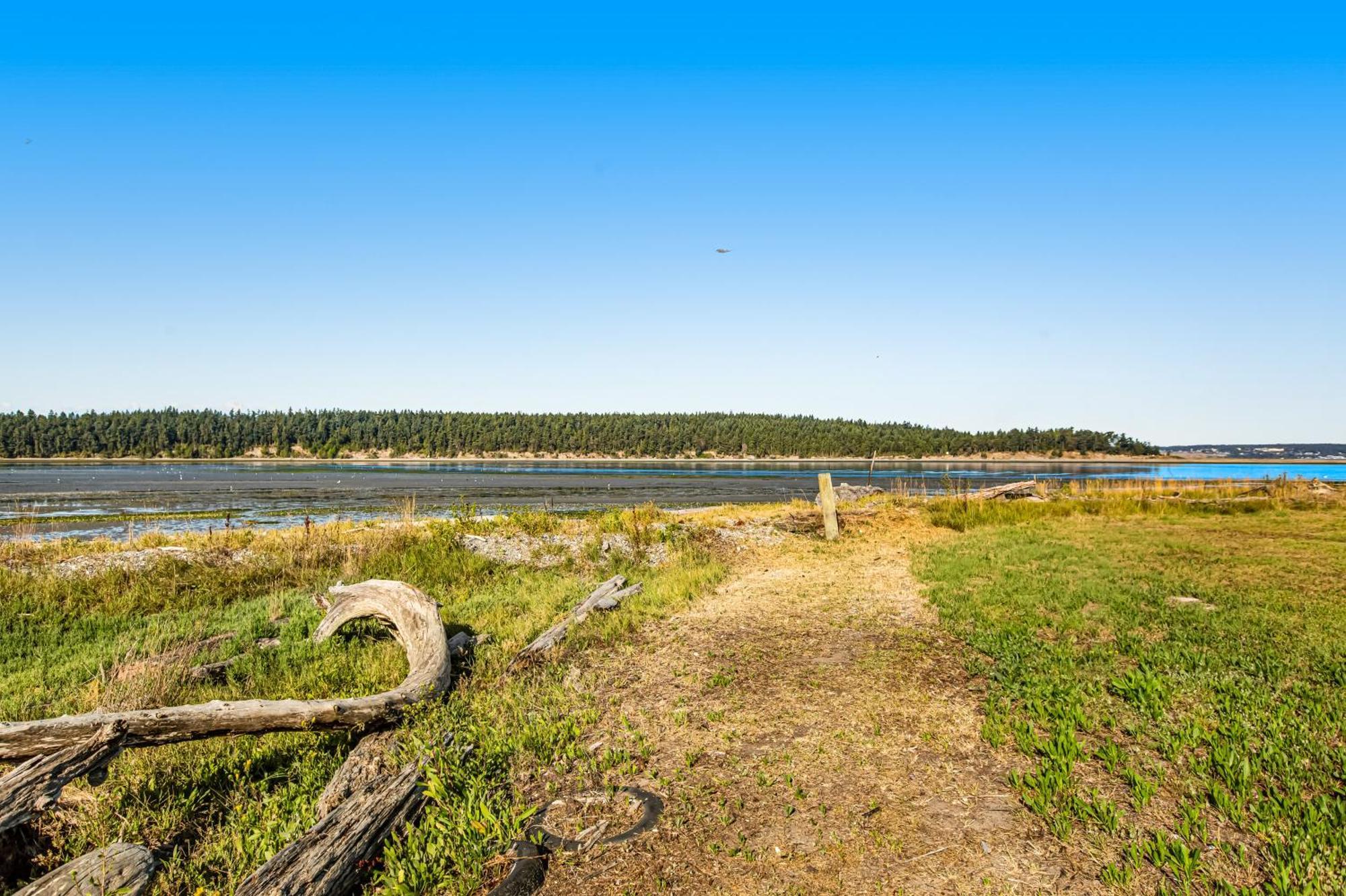 Marrowstone Island Beach Cabin Zewnętrze zdjęcie