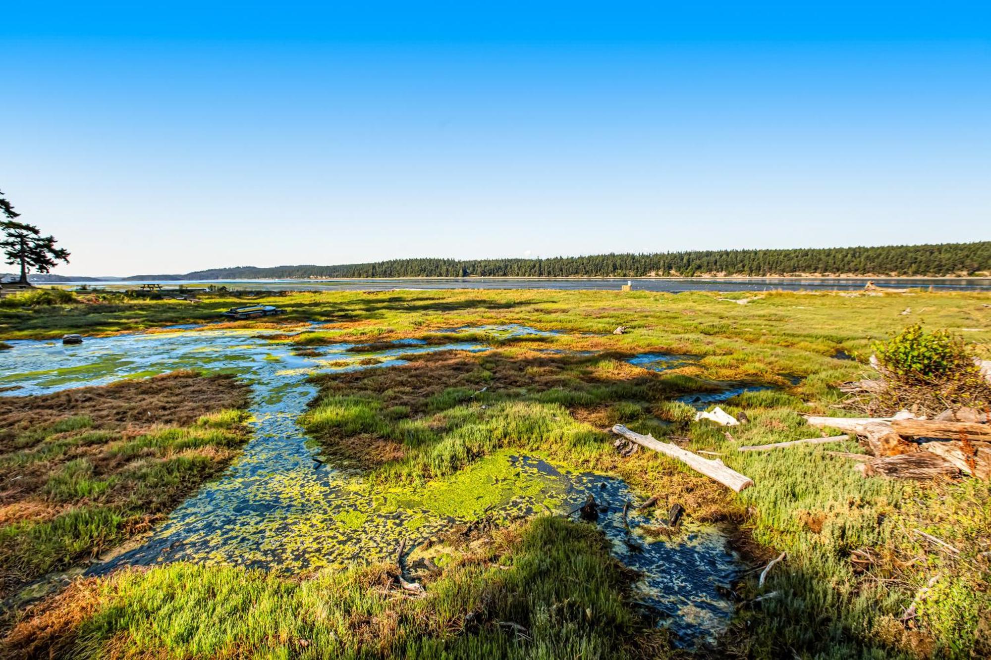 Marrowstone Island Beach Cabin Zewnętrze zdjęcie